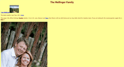 Desktop Screenshot of mellinger.com